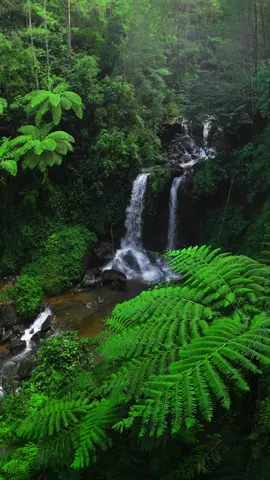 Grenjengan kembar #grenjengankembar #magelang #fyp #viral #waterfall 