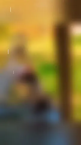 Dogs Hilarious Moments 🐶😂 | These Will Make Your Day#fyp #animalmemes #funnydogs #funnyvideos #funnymoments #trynottolaugh #viral 