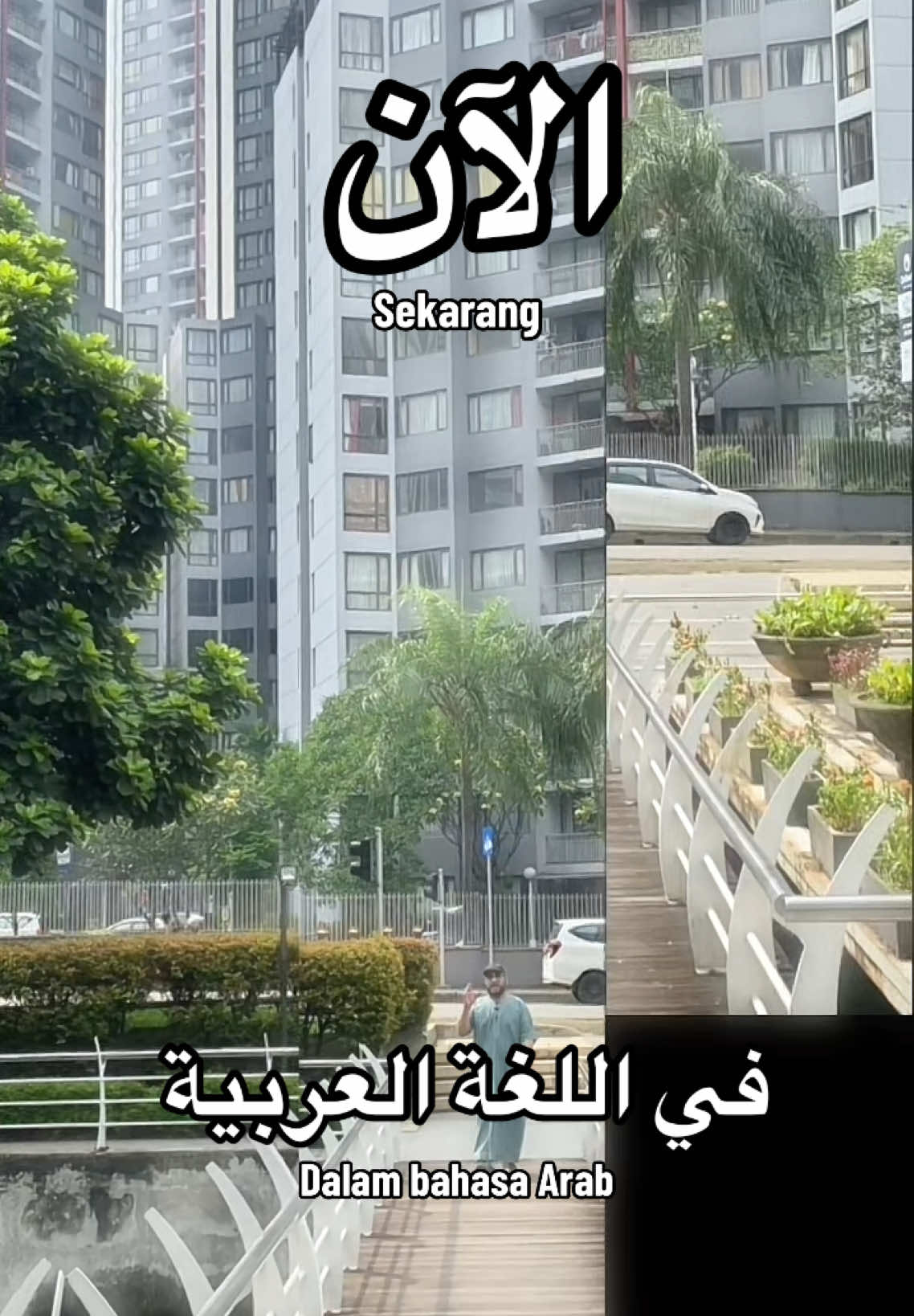 جسر=Jembatan 🌉 Follow untuk tau kosa kata Bahasa Arab lainnya  ✨ #Speakeasyarabic #belajarbahasaarabbarengSyeikh 