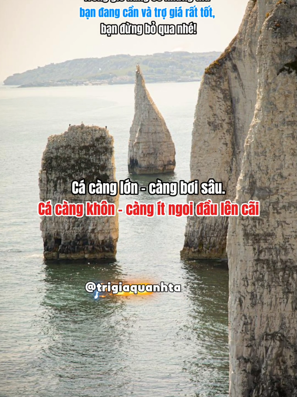 Thế giới càng rộng – tiếng ồn càng ít. Tâm càng tĩnh – sóng càng chẳng lay được.. #trigiaquanhta #phattrienbanthan #fyp 