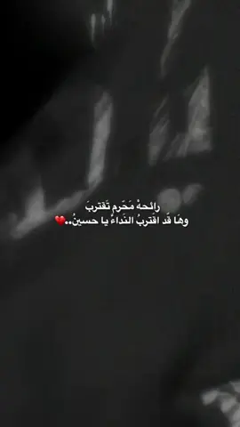 #في هذا اليوم #محرم_عاشوراء #باسم_الكربلائي 