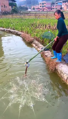 哇噻！這捕魚神技太狂啦🐟 直接封神！ #捕魚 #高手 #神技 #漁獲 
