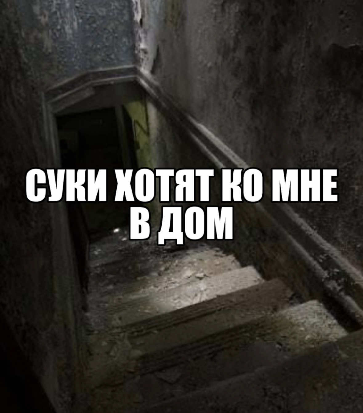 #djtrippieflameboy #5mewmet #souncloud #глобальныерекомендации #dayerteq  Хардстайл и Джампстайл - это два родственных, но самобытных электронных жанра, являющихся взрывным коктейлем энергии и драйва. Хардстайл, с его более сложной структурой, мощными искаженными басами и мелодичными вставками, словно боевик, разворачивающийся в звуке, заставляющий слушателя ощутить прилив адреналина и внутреннюю силу. Джампстайл, в свою очередь, - это более прямолинейный и безбашенный энергетический заряд, сфокусированный на простоте, ритме и неудержимом желании двигаться, где каждый удар барабана - это призыв к прыжку, а каждая мелодия - искра, разжигающая пламя веселья. Вместе, эти жанры создают атмосферу безудержной энергии, приглашая слушателей в мир, где музыка правит движениями, а единственное правило - это отдача на полную катушку.