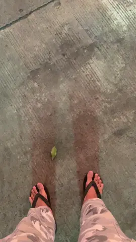 🤩 di #bkt #jakarta #jaktim #senja #senjasorehari #mentahan #video #fyppppppppppppppppppppppp 