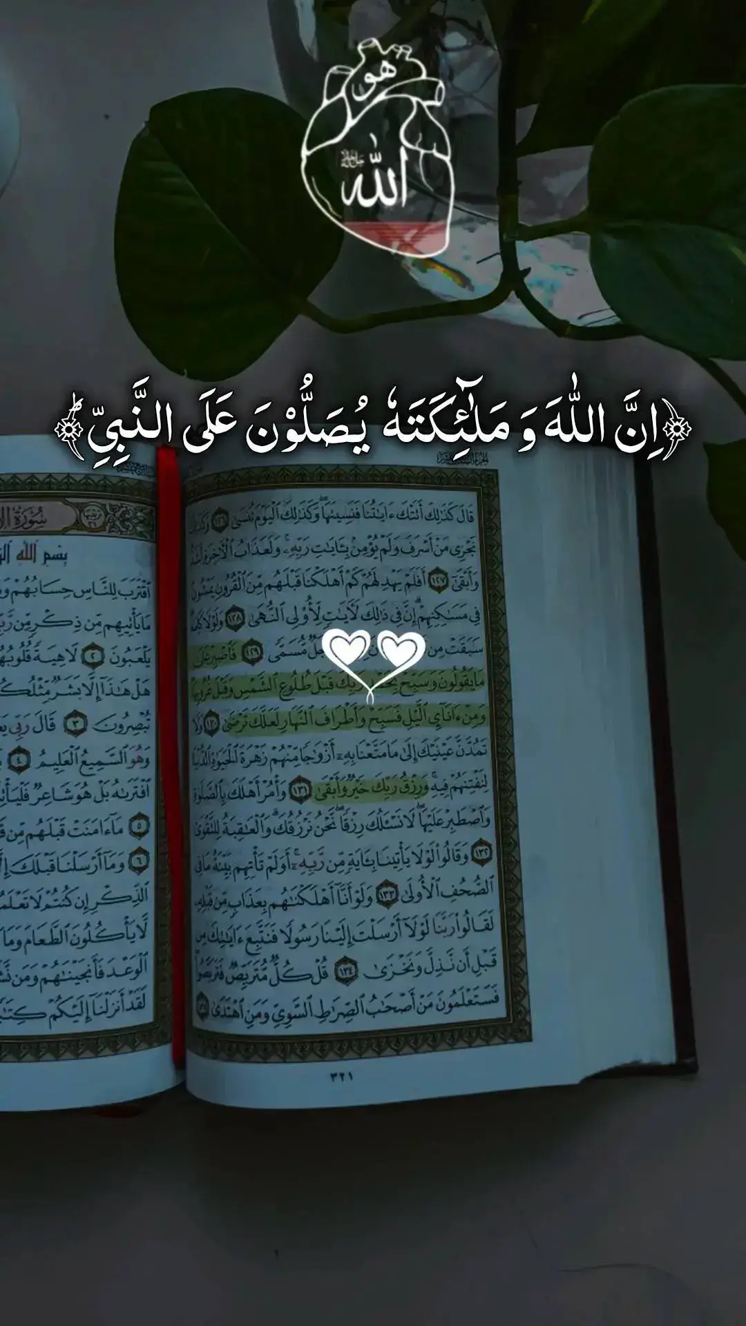 ﴿اِنَّ اللّٰہَ وَ مَلٰٓئِکَتَہٗ یُصَلُّوۡنَ عَلَی النَّبِیِّ ؕ﴾ #ارح_سمعك_بالقران #راحة_نفسية #القران_الكريم_راحه_نفسية #عبدالرحمن_مسعد #quran_alkarim #fyp