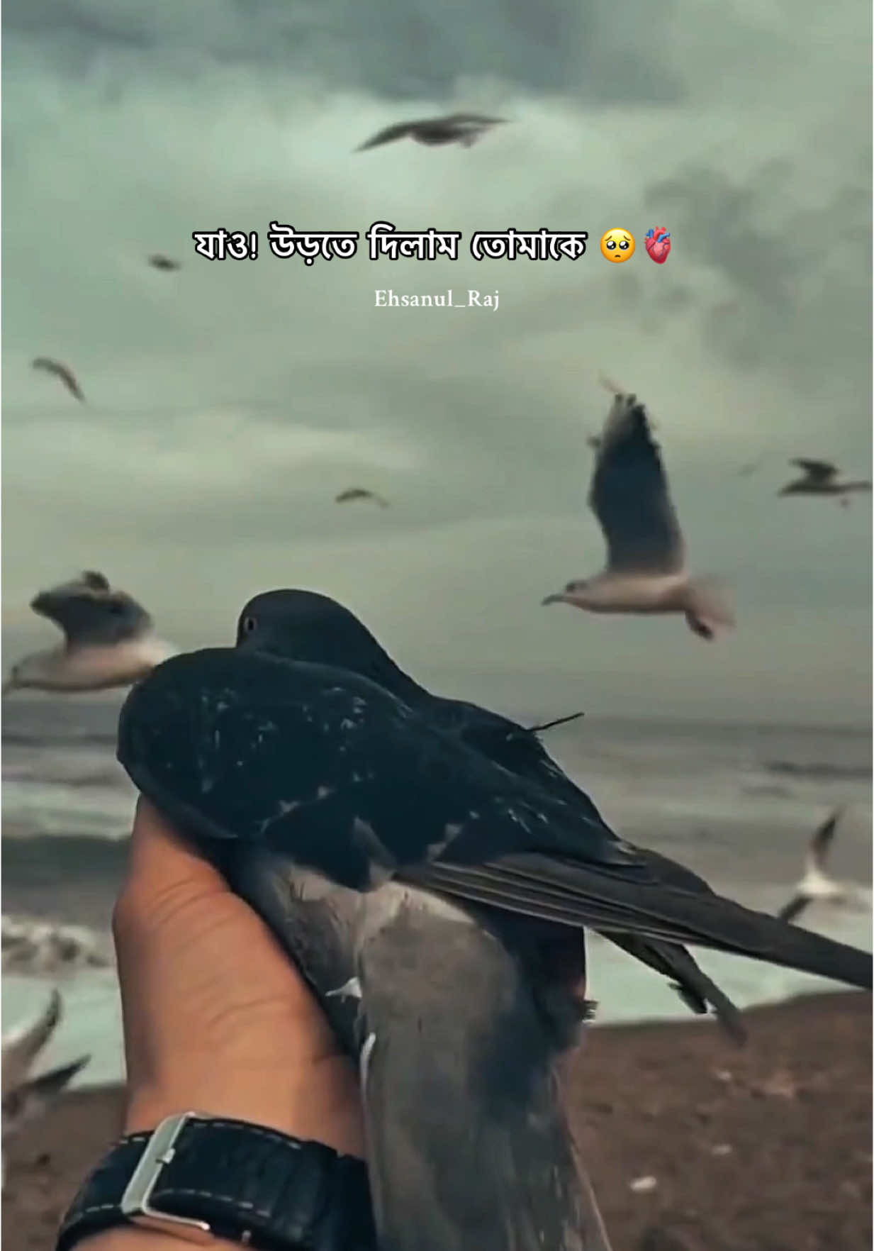 #foryou #myviralvideo #foryoupage #banglasadstatus #tiktokfamily #viraltiktok #broken #tiktok #fyp #viralvideo #brokenvideos #dhaka 