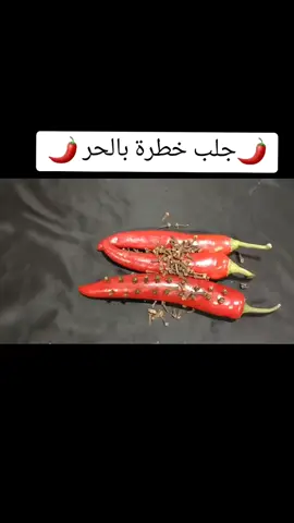 #في هذا اليوم #_بلجيكا🇧🇪_المانيا🇩🇪_اسبانيا🇪🇸 #اسبانيا🇪🇸_ايطاليا🇮🇹_البرتغال🇵🇹 #فرنسا🇨🇵_بلجيكا🇧🇪_المانيا🇩🇪_اسبانيا🇪🇸 #الشعب_الصيني_ماله_حل😂😂 #فرنسا🇨🇵_بلجيكا🇧🇪_المانيا🇩🇪_اسبانيا🇪🇸 #الامارات_العربية_المتحده🇦🇪 #فرنسا🇨🇵_بلجيكا🇧🇪_المانيا🇩🇪_اسبانيا🇪🇸 #_بلجيكا🇧🇪_المانيا🇩🇪_اسبانيا🇪🇸 #اسبانيا🇪🇸_ايطاليا🇮🇹_البرتغال🇵🇹 #فرنسا🇨🇵_بلجيكا🇧🇪_المانيا🇩🇪_اسبانيا🇪🇸 #سعودية_مغرب_ليبيا_كويت_العراق #اسبانيا🇪🇸_ايطاليا🇮🇹_البرتغال🇵🇹 #_بلجيكا🇧🇪_المانيا🇩🇪_اسبانيا🇪🇸 #فرنسا🇨🇵_بلجيكا🇧🇪_المانيا🇩🇪_اسبانيا🇪🇸 #_بلجيكا🇧🇪_المانيا🇩🇪_اسبانيا🇪🇸 #فرنسا🇨🇵_بلجيكا🇧🇪_المانيا🇩🇪_اسبانيا🇪🇸 #الشعب_الصيني_ماله_حل😂😂 #الامارات_العربية_المتحده🇦🇪 #_بلجيكا🇧🇪_المانيا🇩🇪_اسبانيا🇪🇸 #فرنسا🇨🇵_بلجيكا🇧🇪_المانيا🇩🇪_اسبانيا🇪🇸 