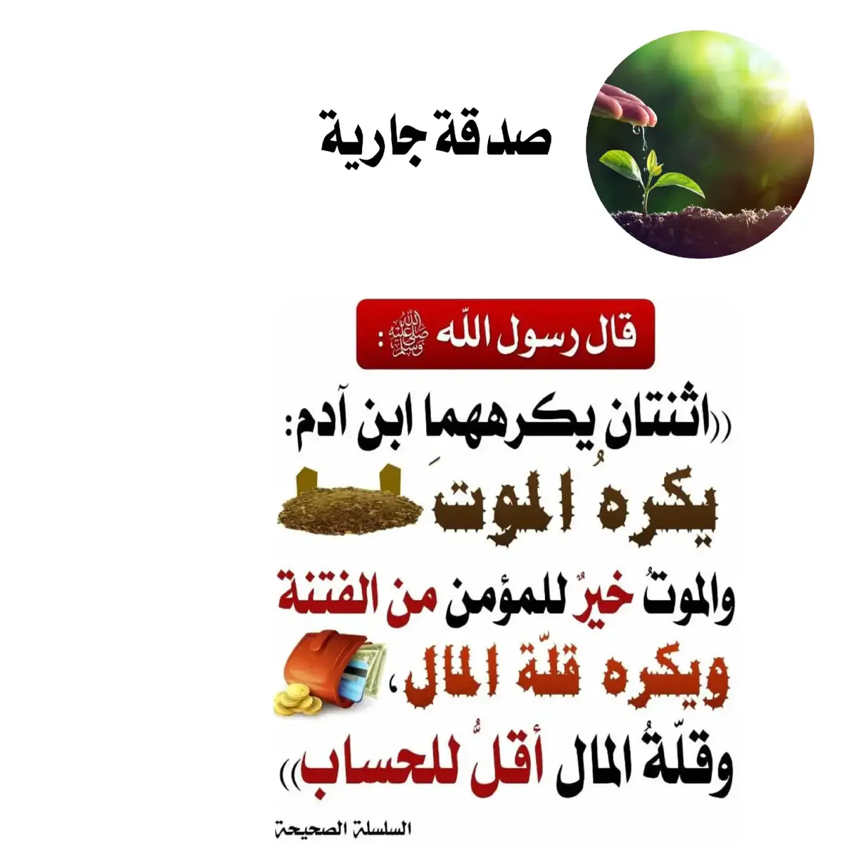 #اتقوا_يوما_ترجعون_فيه_الي_الله #السجود_يرفعك_ويعزك_ويقويك_ويسعدك #الصبر #التوحيد_حق_اللّٰه_على_العبيد👆 #الأستغفار #غض_البصر #الصلاة_ثم_الصلاة_ثم_الصلاة #صحح_معلوماتك #اتقوا_يوما_ترجعون_فيه_الي_الله #العلم_نجاة✍️📚 #لاتشرك_بالله_إن_الشرك_لظلم_عظيم #فذكر_فإن_الذكرى_تنفع_المؤمنين #الاغاني_حرام #التوحيد_هو_الحل_الوحيد #التدخين_مضر_بالصحة #احذر_المعاصي #صدقة_جارية #سنة_رسول_الله #اللهم_صل_وسلم_على_نبينا_محمد #لا_إله_إلا_أنت_سبحانك_إني_كنت_من_ظالمين #احاديث_نبوية 