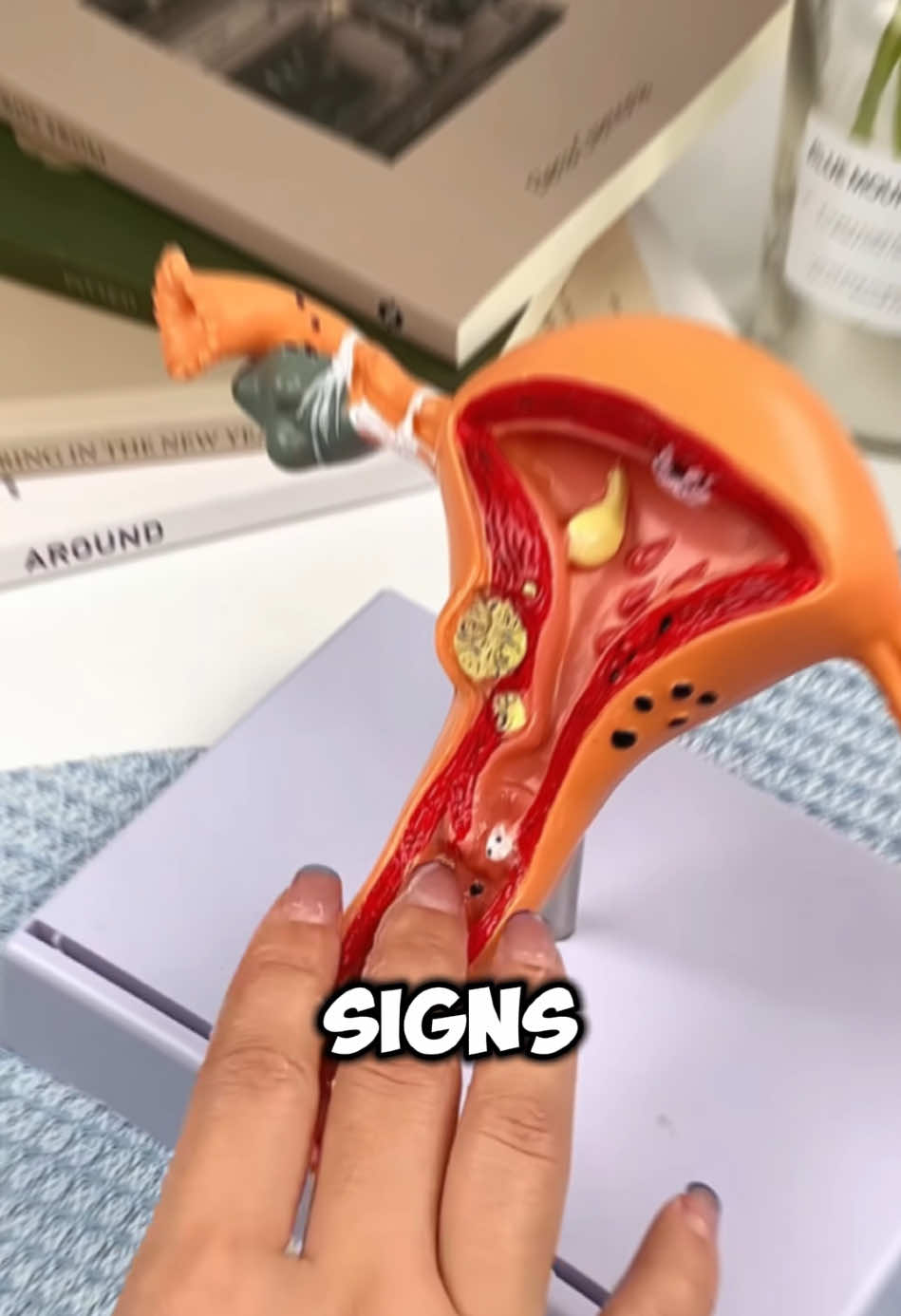 3 signs your hormones are out of balance #tea #womenshealth #hormones 