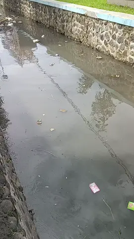 sampah berserakan dialiran sungai di kota tegal #sampah #,kali#kebersihan #kotor #rabu ,#mei 