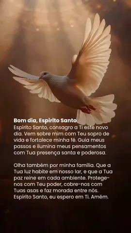 Começo este dia colocando-me aos Teus cuidados, Espírito Santo. Dá-me sabedoria para escolher o que edifica, paciência para enfrentar os desafios e serenidade para viver cada instante com fé. Dirige os meus pensamentos, ilumina os meus passos e faz de mim um instrumento da Tua paz. 📌 Escreva nos comentários seus medos e preocupações, eu quero rezar por você. . #espíritosanto #sabedoriadivina #féparahoje #oração #dalcides #palavradodia #entrega #escolhasdavida 