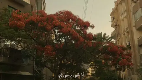 🥰 #تصويري📸 #انا_لحبيبي_وحبيبي_إلي #فيروز #CapCut 