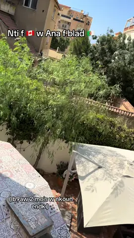 #fyp #💔 #🇩🇿 