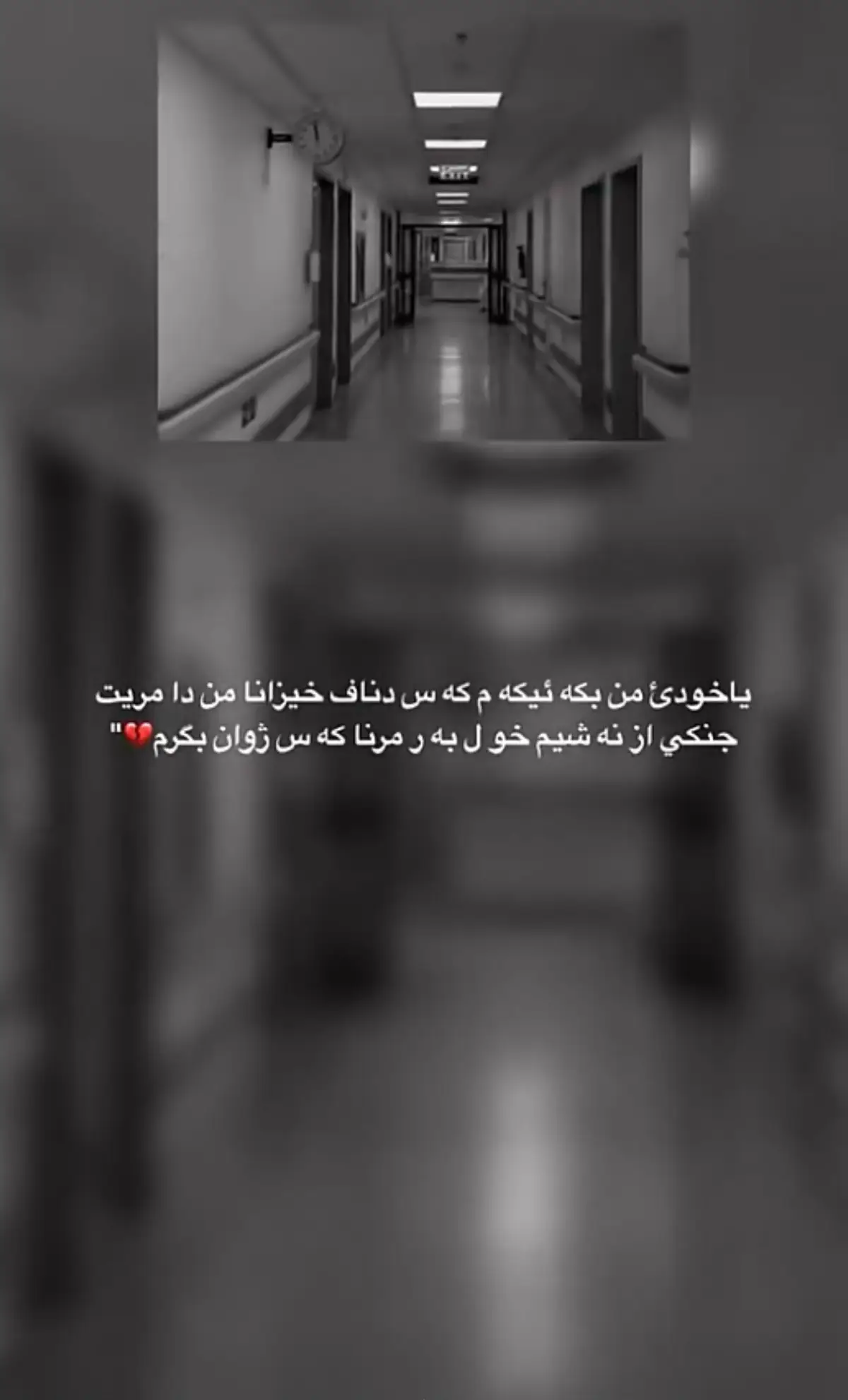 #اكسبلور #explore #zaxo #duhok_zaxo_amedi_semel_akre_hawler #جهاد_برواري #viralvideo #duhok #duhok #محمود_الجبلي #