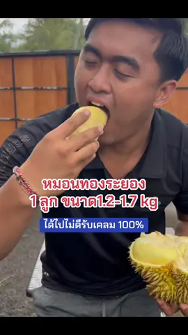 หมอนทองระยองแท้ 1000% อร่อย เนื้อดี ประกันเนื้ออออ #ทุเรียน #ทุเรียนหมอนทอง #ทุเรียนจันทบุรี #ทุเรียนหมอนทองจันทบุรี🌲💯 #ส่งฟรีมีปลายทาง🚚🚚🚚 