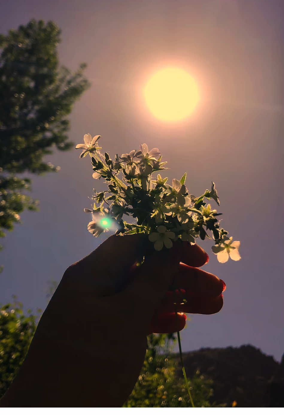 کیسے سنبھال پایئں گے خستہ بدن کی راکھ ہم لڑتے لڑتے تھک گئے ہیں اپنے بخت سے❤️‍🩹🥀 #anisthetics #trending #foryoupage #fyp 