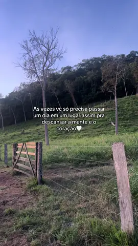 #sertanejo #tipografia #roça #videosderotina #lavandocasa #onça #sitio #frases
