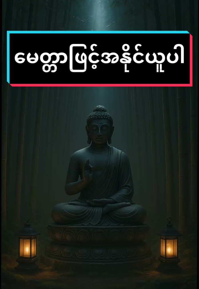 #VNVideoEditor မေတ္တာဖြင့်အနိုင်ယူပါ #ပါချုပ်ဆရာတော်ဘုရာကြီး🙏🙏🙏 #buddhism #foryou 