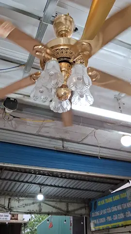 quạt  trần 5 cánh  có  đèn  chùm  sang  đẹp  mát nhiều  gió tiếp  kiêm điện 