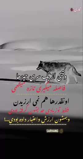 ريسك هميشه بهتر است از پشیمانی✌🏿💯❤️#🐺👑the⚔king👑⚔ 