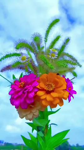 #beautiful #nature #Love #fyp #foryoupage 