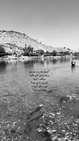 #مالي_خلق_احط_هاشتاقات #viralvideo #foryoupage #بعدك_اعيش_بلا_سبب #foryou #شعراء_وذواقين_الشعر_الشعبي #متابعه #لايك #اكسبلورر 
