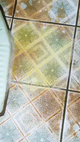 Pembersih Kerak Ampuh Merontokkan Noda Kerak Tebal dan Membandel pada Kloset, Lantai, dan dinding keramik kamar mandi. serta ampuh juga mengatasi gayung, ember, bak mandi, baskom, yang berbahan plastik / PVC. Cek Harganya di Keranjang Kuning di Kiri Bawah! 😊 #toiletcleaner  #toiletcleanerasli  #pembersihkerak  #cairanpembersihkerak  #pembersihkerakkamarmandi  #pembersihkeraktoilet  #serbapembersih 