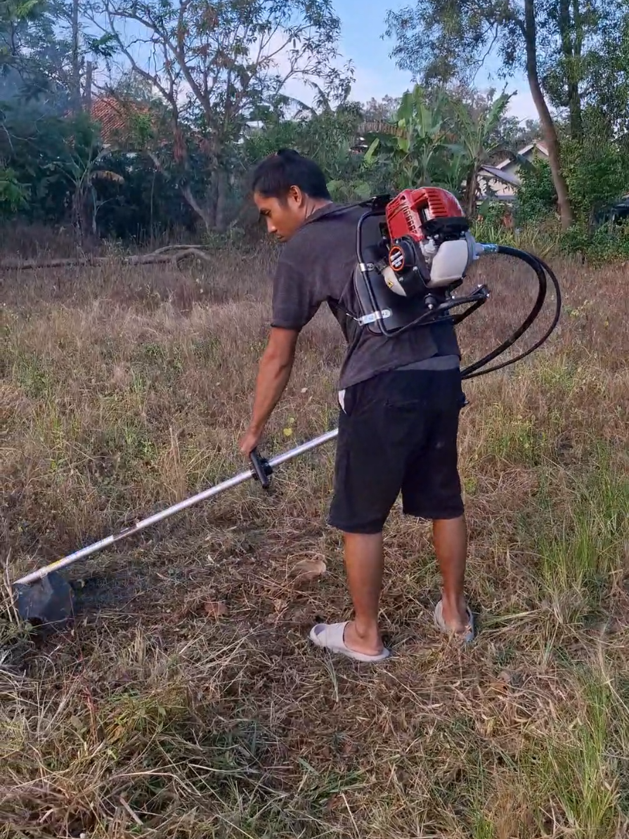 mesin potong rumput 4 stroke model gendong #mesinpotongrumput 