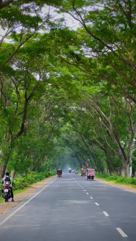 Beauty Of Jhenaidah!! #fyp #foryou #viral #viralvideo #beautifull #jhenidah #local 