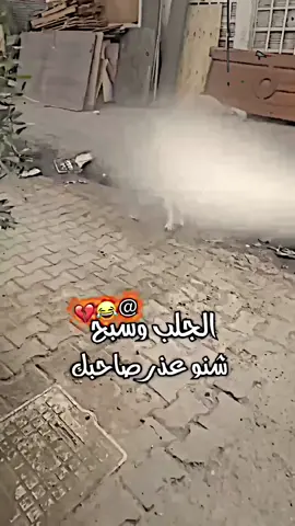 سويله تاك وكله شنو عذرك 😂🔥. #انستا_بالبايو #تصميم_فيديوهات🎶🎤🎬 #المصمم_جواد😾 #fypシ゚ #اكسبلور #foryou #تيم_fbi⚡ #ترند_تيك_توك #tiktok #تيم_ملوك_العالم #تيم_الرافدين 