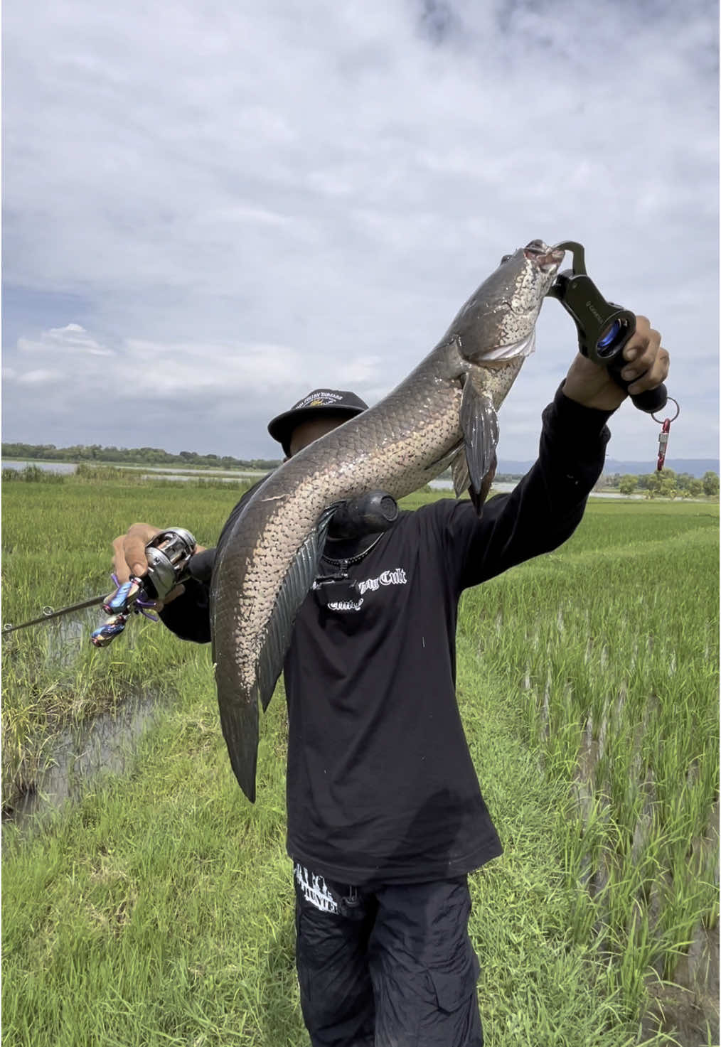 Spot gabus sawah kelep WGM Full gorgon ri😱🔥🔥senar sampai putus ri😬 #mafiafishhunter  #mancingmania  #mancingliar  #mancing  #riigenk  #wonogiri  #mancinggabus 