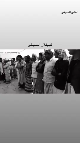 قبيلة السيفي #السيفي #مارب #اليمن 
