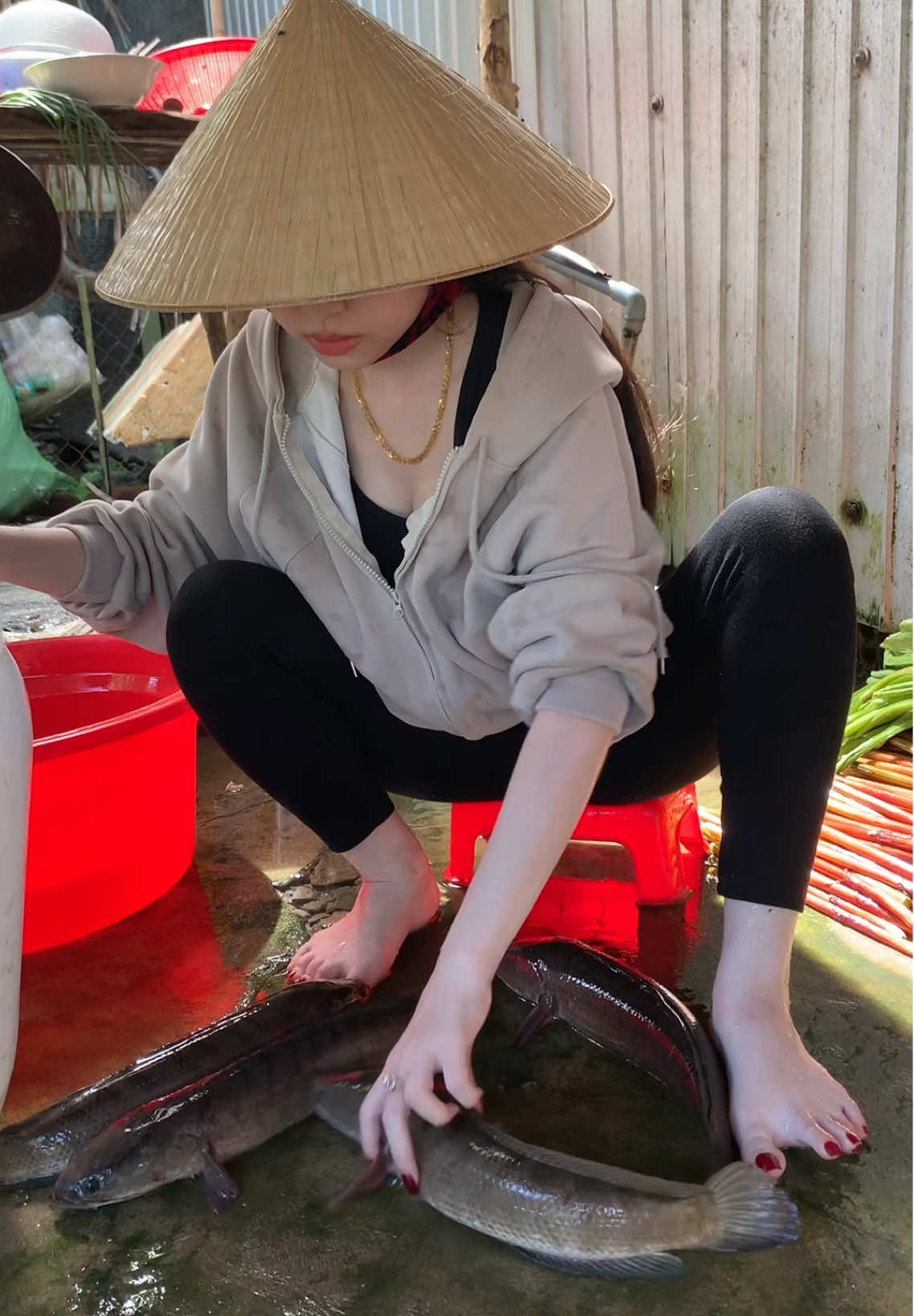 Cho em xin lời khuyên của mấy chị trước đi…..?#xh #fyp #xhhhhhhhhhhhhhhhhhhhhhhh #xuhuong 