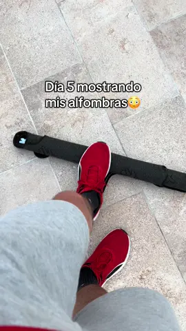 Mostrando mis alfombras de One Piece 🏴‍☠️ #onepiece #luffyonepiece #luffy #nakama #mugiwara #roronoazoro #alfombraonepiece 