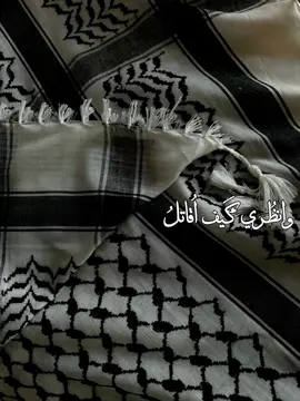. . . . . . #tiktok #fypシ゚ #foryoupage #slowmo #video #song #اغاني #like #goviral #pyf #فلسطين 