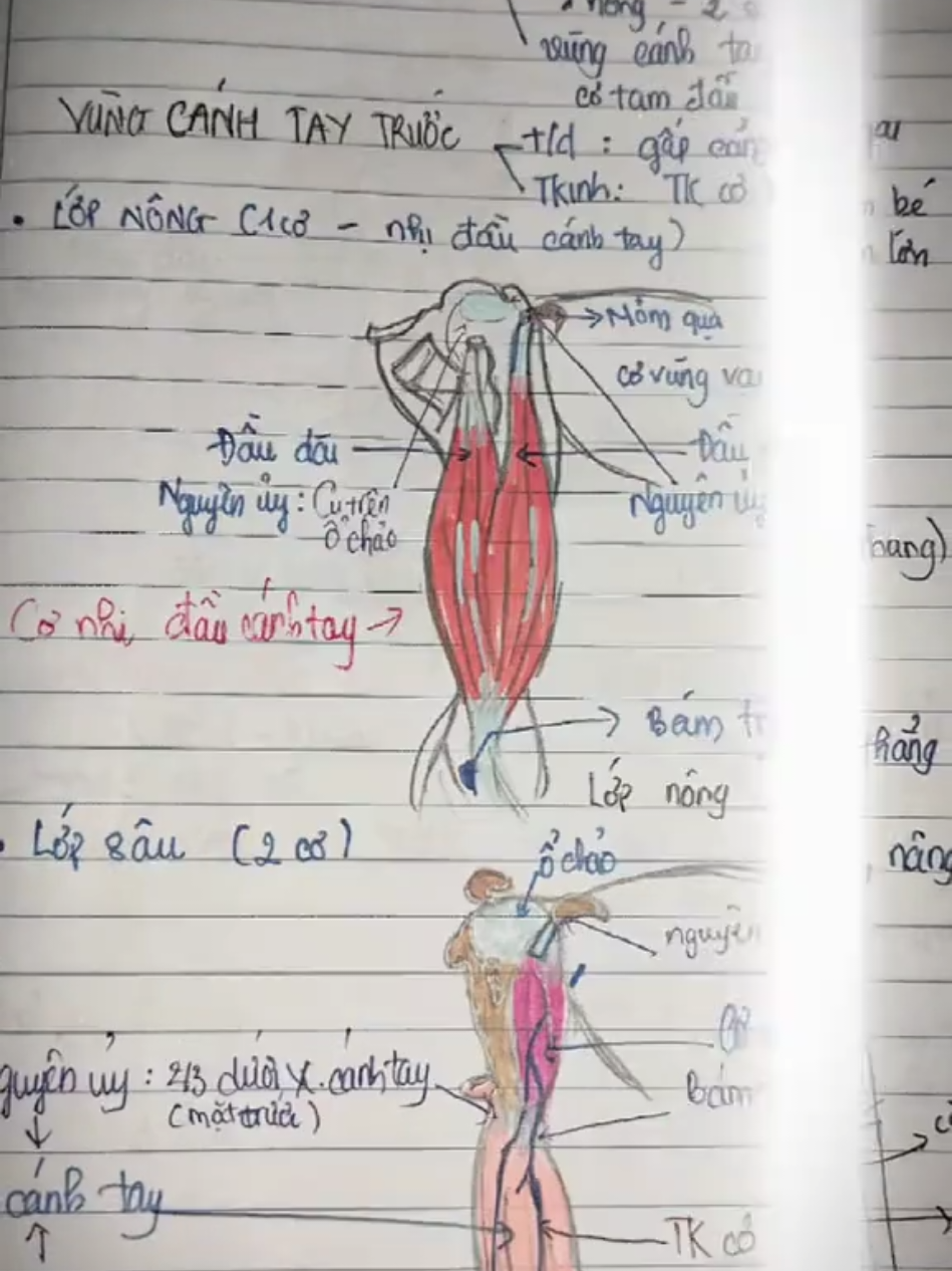 môn này ai cũng thích nè 🙃#capcut #hocycogivui👩🏻‍⚕️💙 #dieuduong #giaiphau 