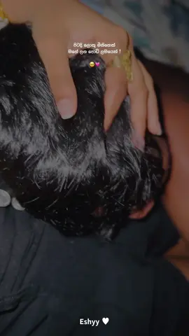 It's like a father's love. 🥹❤️‍🔥!        #CapCut #trendingvideo #goviral #onemillionaudition #fypシ #fyyyyyyyyyyyyyyyy #trending #viral #foryou🥹 #nostalgic #eshyystatus #1m #eshpage #fyppppppppppppppppppppppp #ceylon_tik_tok #sinhalaquotes #viralvideo #foryoupage #admin @Kavii 🧸💗 