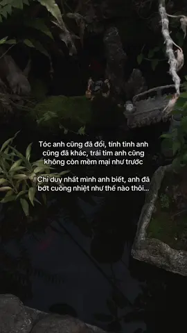 …#tamtrang #story 