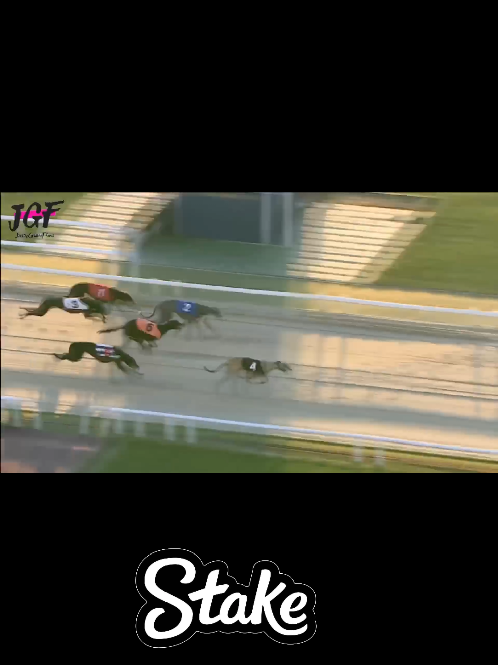 Dog's race #athletics_wordie 