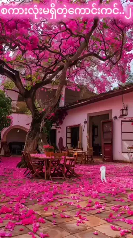 #စကားလုံးမရှိတဲ့ကောင်းကင်..၂#ခိုင်ပွင့်#fypシ゚ #myanmartiktok🇲🇲🇲🇲 #foryourpage #fypシ゚ #👩‍❤️‍👨👩‍❤️‍👨👩‍❤️‍👨မဂ်လာညချမ်းပါခင်ဗျာ👩‍❤️‍👨👩‍❤️‍👨👩‍❤️‍👨⏰⏰⏰ 