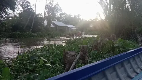 25n  nhly nương tay với tràm chẹt nhé ae 🫂💕#xuong#cat #chamtret 