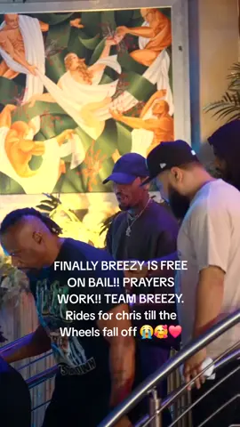 @chrisbrownofficial Finally free!!! 🥰 #chrisbrown #teambreezy #blowthisup #goviral #fypviral #foryoupage 
