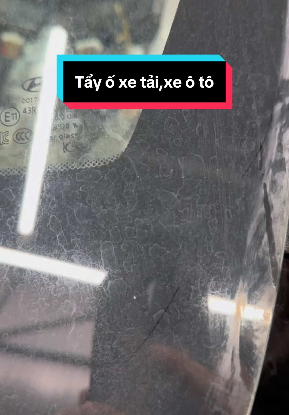 Tẩy ố kính,xe tải,ô tô,nhà kính #chuyengiaoto #xuhướng 