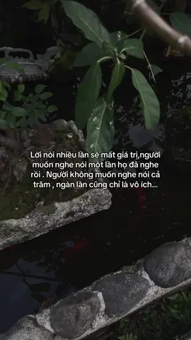 …#tamtrang #story 