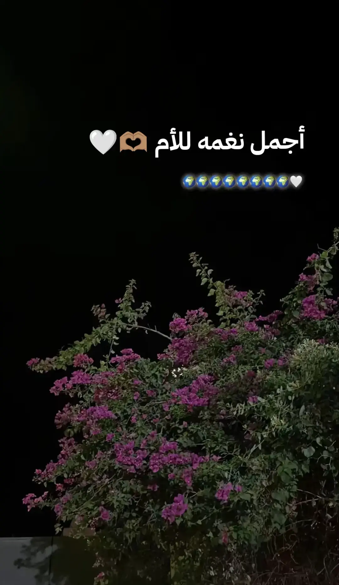 #نغمه_موبيل #foryoupage #نغمات_جوال #fypツ #نغمه_منبه #نغمات #foryou #نغمات_رنين #viralvideo #تصميم_فيديوهات🎶🎤🎬تصميمي🔥 