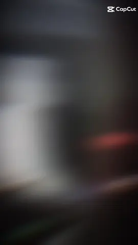 🫩🫩