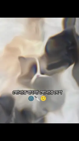 hoo.....!!😒🤕💔🔪#fypシ゚ #virall #foryou #trinding #foryoutrick #foryoupage #Bangladesh🇧🇩 #fyyyyyyyyyyyyyyyy #fppppppppppppppppppp @TikTok @TikTok Bangladesh 
