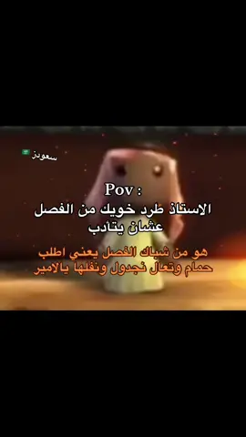 #سعودز🇸🇦 