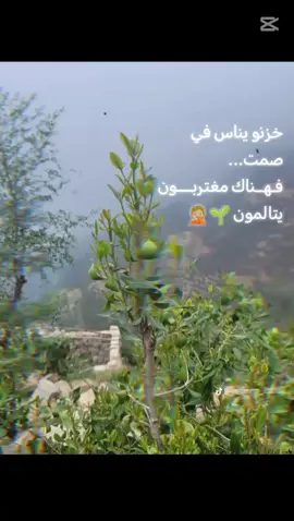 خزنو يناس في صمت فهناك مغتربون يتالمون 🌱🤦🏼💔