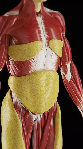 Just a Pinch of This Salt Trick for 7 Days — Support Weight Loss & Belly Fat Burn! #SaltHack #WeightLossTips #BellyFatBurn #NaturalRemedies #HealthyLiving #TikTokHealth #DetoxTips #7DayChallenge #FatLossJourney #WellnessHack